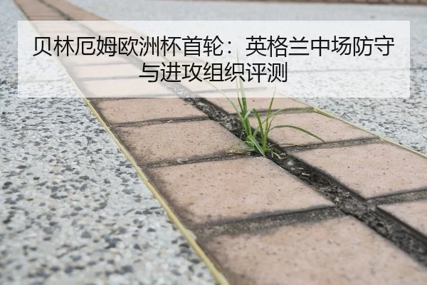 贝林厄姆欧洲杯首轮：英格兰中场防守与进攻组织评测