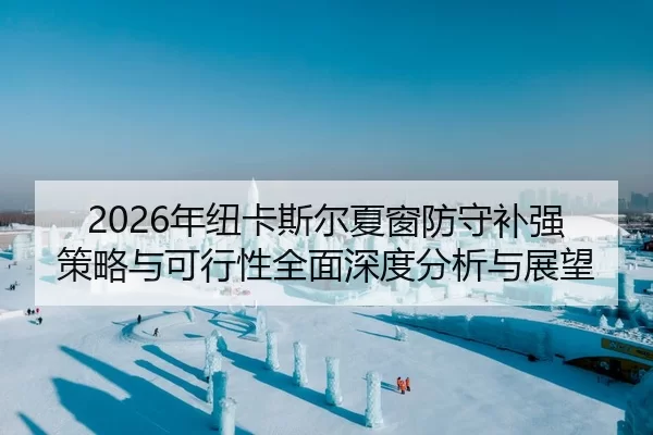 2026年纽卡斯尔夏窗防守补强策略与可行性全面深度分析与展望