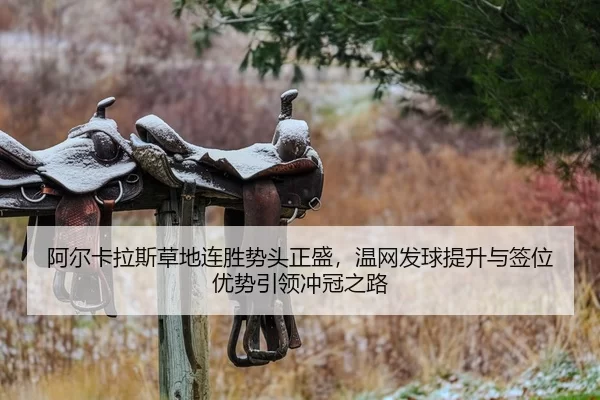 阿尔卡拉斯草地连胜势头正盛，温网发球提升与签位优势引领冲冠之路
